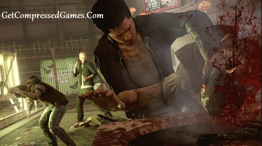 Sleeping Dogs Gameplay